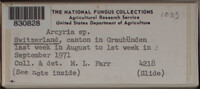 Image Associated With the Occurence
